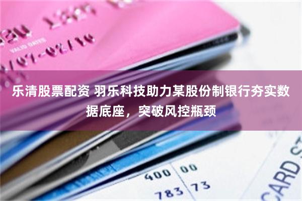 乐清股票配资 羽乐科技助力某股份制银行夯实数据底座，突破风控瓶颈