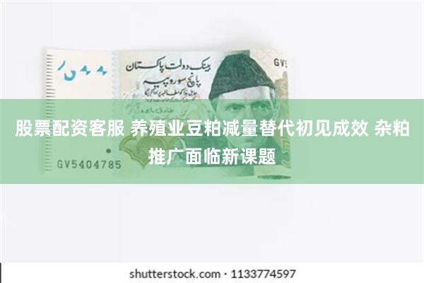 股票配资客服 养殖业豆粕减量替代初见成效 杂粕推广面临新课题