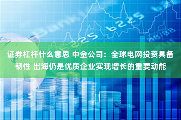 证券杠杆什么意思 中金公司：全球电网投资具备韧性 出海仍是优质企业实现增长的重要动能