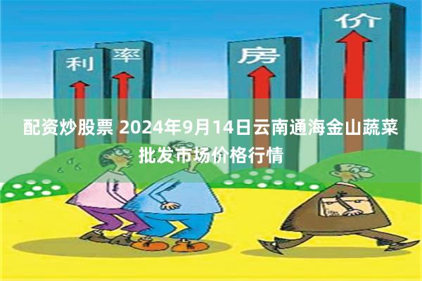 配资炒股票 2024年9月14日云南通海金山蔬菜批发市场价格行情