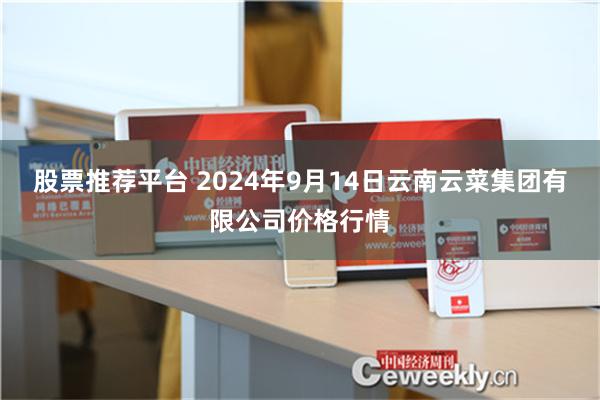 股票推荐平台 2024年9月14日云南云菜集团有限公司价格行情