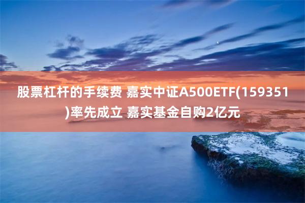 股票杠杆的手续费 嘉实中证A500ETF(159351)率先成立 嘉实基金自购2亿元
