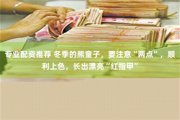 专业配资推荐 冬季的熊童子，要注意“两点”，顺利上色，长出漂亮“红指甲”