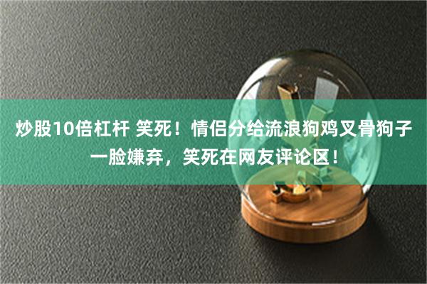 炒股10倍杠杆 笑死！情侣分给流浪狗鸡叉骨狗子一脸嫌弃，笑死在网友评论区！