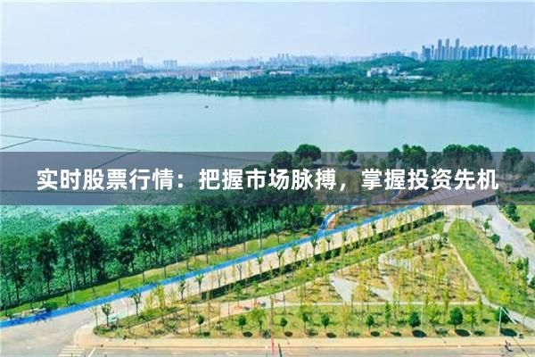 实时股票行情：把握市场脉搏，掌握投资先机