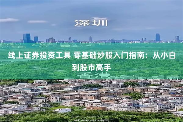 线上证券投资工具 零基础炒股入门指南：从小白到股市高手