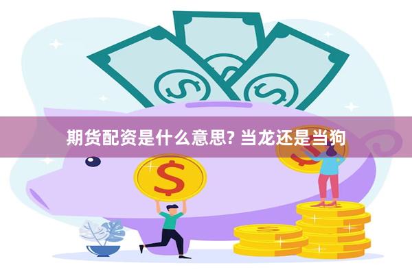 期货配资是什么意思? 当龙还是当狗