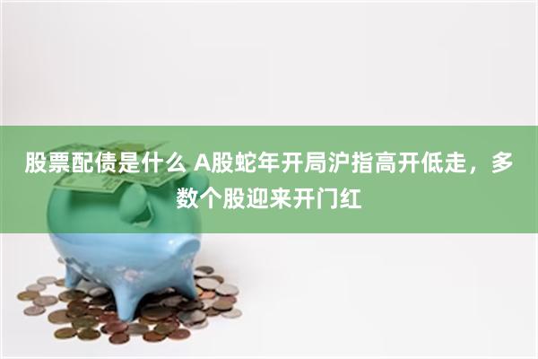 股票配债是什么 A股蛇年开局沪指高开低走，多数个股迎来开门红