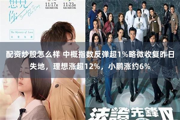 配资炒股怎么样 中概指数反弹超1%略微收复昨日失地，理想涨超12%，小鹏涨约6%
