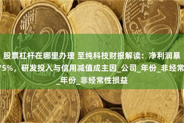 股票杠杆在哪里办理 至纯科技财报解读：净利润暴跌93.75%，研发投入与信用减值成主因_公司_年份_非经常性损益
