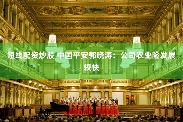 短线配资炒股 中国平安郭晓涛：公司农业险发展较快