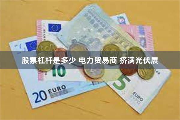 股票杠杆是多少 电力贸易商 挤满光伏展
