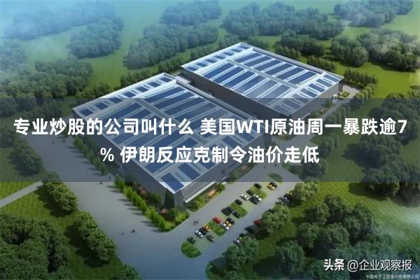 专业炒股的公司叫什么 美国WTI原油周一暴跌逾7% 伊朗反应克制令油价走低