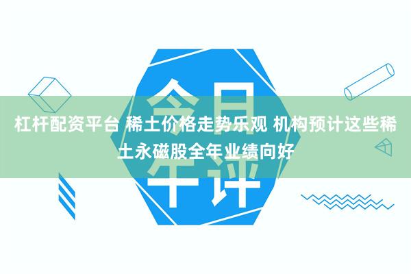 杠杆配资平台 稀土价格走势乐观 机构预计这些稀土永磁股全年业绩向好