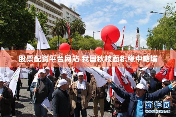 股票配资平台网站 我国秋粮面积稳中略增