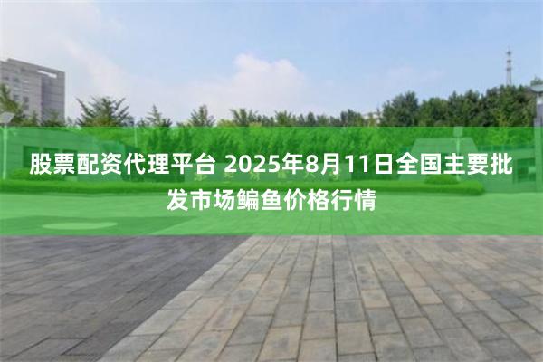 股票配资代理平台 2025年8月11日全国主要批发市场鳊鱼价格行情