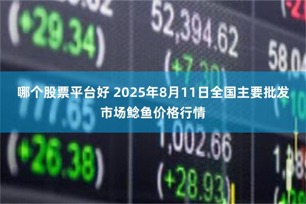 哪个股票平台好 2025年8月11日全国主要批发市场鲶鱼价格行情
