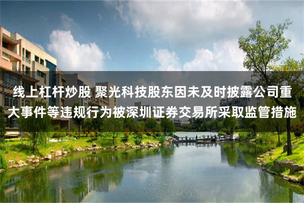 线上杠杆炒股 聚光科技股东因未及时披露公司重大事件等违规行为被深圳证券交易所采取监管措施