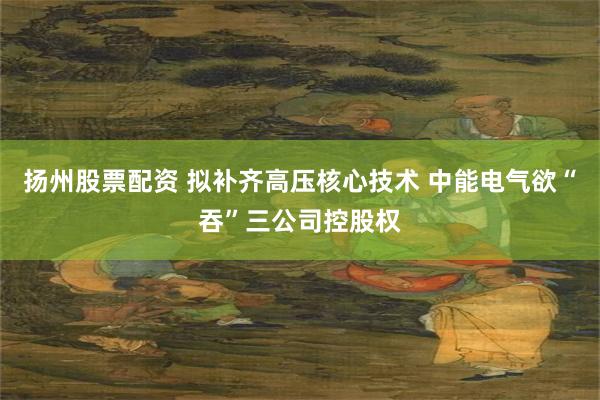 扬州股票配资 拟补齐高压核心技术 中能电气欲“吞”三公司控股权
