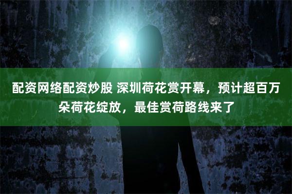 配资网络配资炒股 深圳荷花赏开幕，预计超百万朵荷花绽放，最佳赏荷路线来了