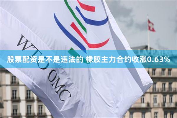 股票配资是不是违法的 橡胶主力合约收涨0.63%