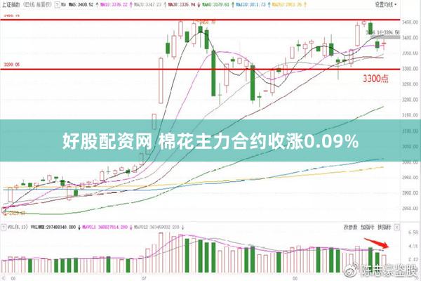 好股配资网 棉花主力合约收涨0.09%