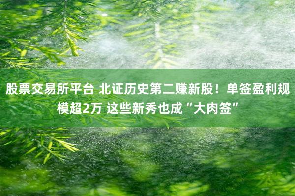 股票交易所平台 北证历史第二赚新股!单签盈利规模超2万 这些新秀也成“大肉签”