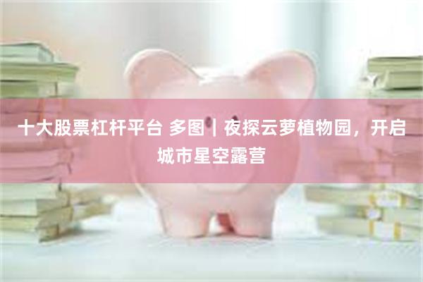 十大股票杠杆平台 多图｜夜探云萝植物园，开启城市星空露营