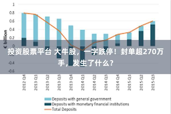 投资股票平台 大牛股，一字跌停！封单超270万手，发生了什么？