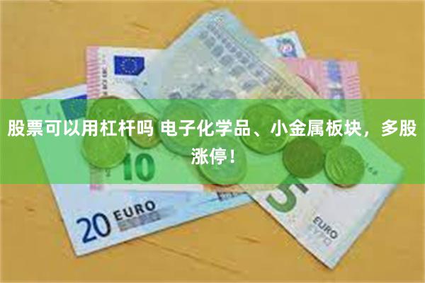 股票可以用杠杆吗 电子化学品、小金属板块，多股涨停！