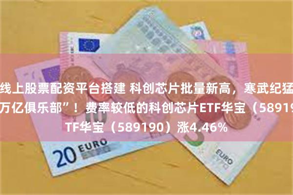 线上股票配资平台搭建 科创芯片批量新高，寒武纪猛攻14%剑指“万亿俱乐部”！费率较低的科创芯片ETF华宝（589190）涨4.46%