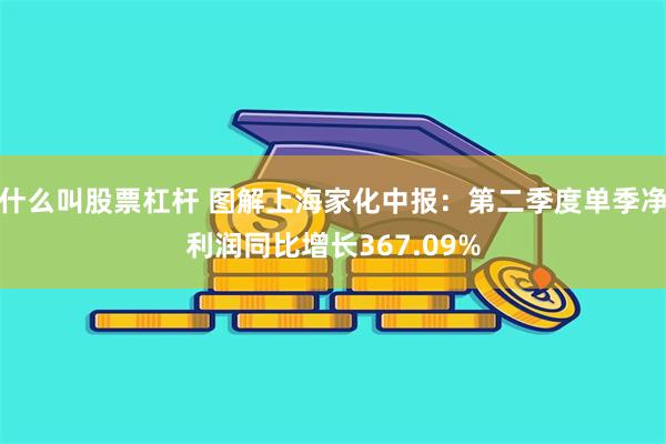 什么叫股票杠杆 图解上海家化中报：第二季度单季净利润同比增长367.09%