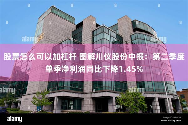 股票怎么可以加杠杆 图解川仪股份中报：第二季度单季净利润同比下降1.45%