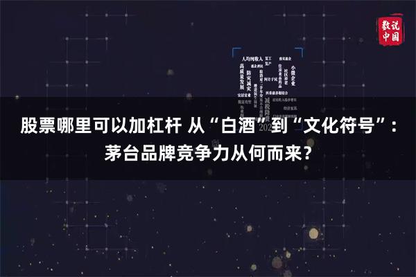 股票哪里可以加杠杆 从“白酒”到“文化符号”：茅台品牌竞争力从何而来？