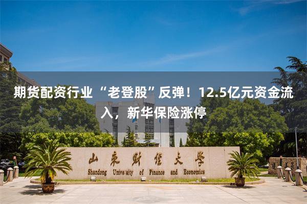 期货配资行业 “老登股”反弹！12.5亿元资金流入，新华保险涨停