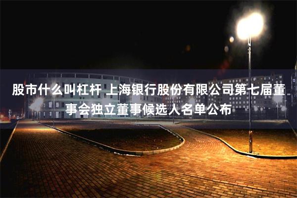 股市什么叫杠杆 上海银行股份有限公司第七届董事会独立董事候选人名单公布
