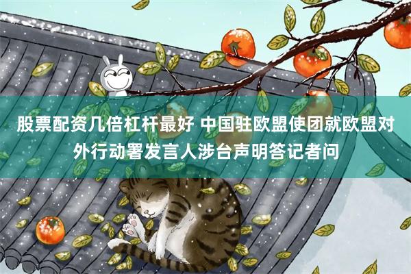 股票配资几倍杠杆最好 中国驻欧盟使团就欧盟对外行动署发言人涉台声明答记者问
