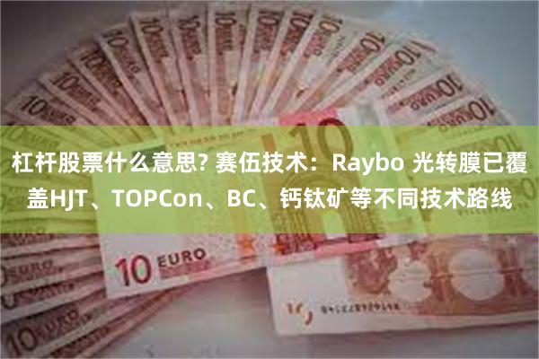 杠杆股票什么意思? 赛伍技术：Raybo 光转膜已覆盖HJT、TOPCon、BC、钙钛矿等不同技术路线