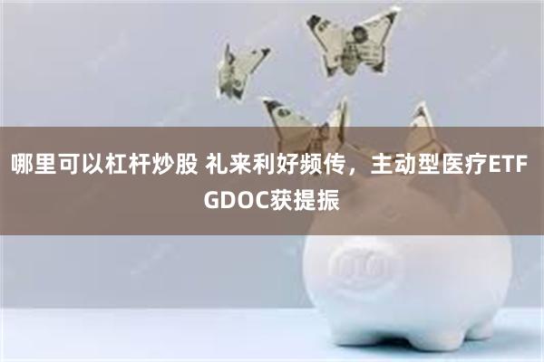 哪里可以杠杆炒股 礼来利好频传，主动型医疗ETF GDOC获提振