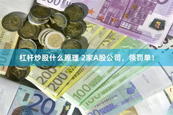 杠杆炒股什么原理 2家A股公司,领罚单!
