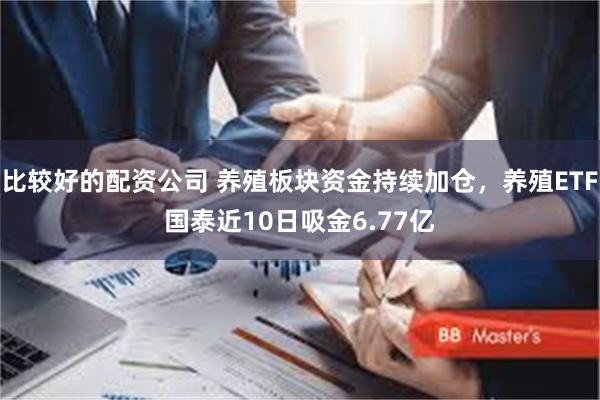 比较好的配资公司 养殖板块资金持续加仓，养殖ETF国泰近10日吸金6.77亿