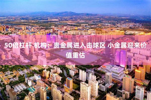 50倍杠杆 机构：贵金属进入击球区 小金属迎来价值重估