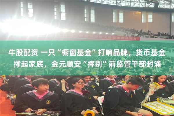 牛股配资 一只“橱窗基金”打响品牌,货币基金撑起家底,金元顺安“挥别”前监管干部封涌
