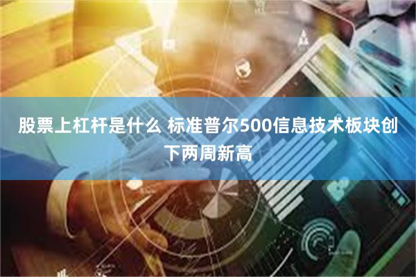 股票上杠杆是什么 标准普尔500信息技术板块创下两周新高