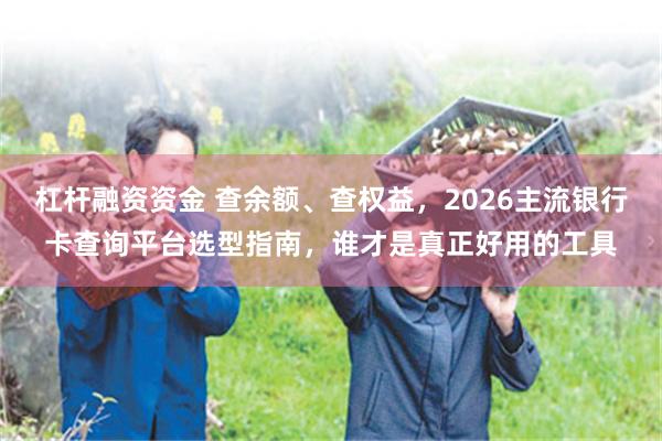 杠杆融资资金 查余额、查权益，2026主流银行卡查询平台选型指南，谁才是真正好用的工具