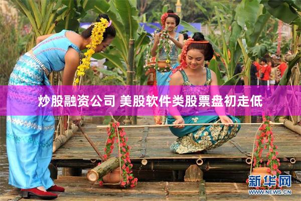 炒股融资公司 美股软件类股票盘初走低
