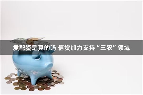 爱配资是真的吗 信贷加力支持“三农”领域