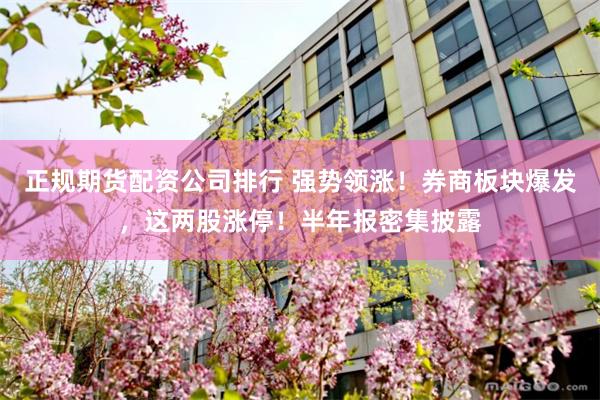 正规期货配资公司排行 强势领涨！券商板块爆发，这两股涨停！半年报密集披露