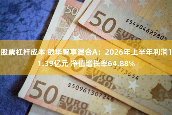 股票杠杆成本 银华智享混合A：2026年上半年利润11.39亿元 净值增长率64.88%