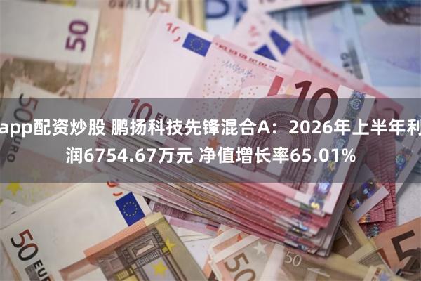 app配资炒股 鹏扬科技先锋混合A：2026年上半年利润6754.67万元 净值增长率65.01%